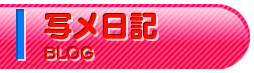 写メ日記