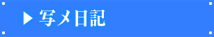 写メ日記