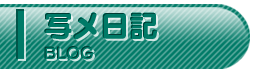 写メ日記