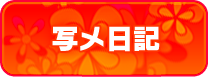 写メ日記