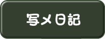 写メ日記