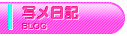 写メ日記
