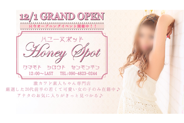 Honey Spot｜熊本市　デリヘル