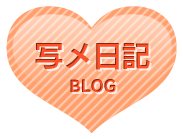 写メ日記