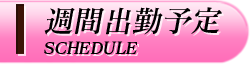 週間出勤予定