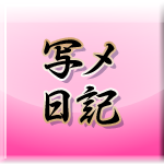 写メ日記