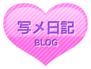 写メ日記