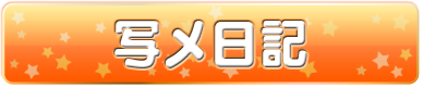 写メ日記