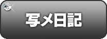 写メ日記