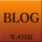 写メ日記