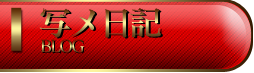 写メ日記