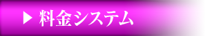 料金システム
