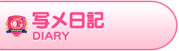 写メ日記