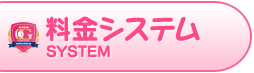 料金システム