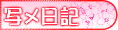 写メ日記