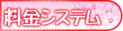 料金システム