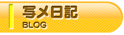 写メ日記