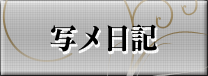 写メ日記
