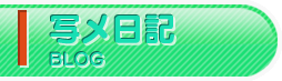 写メ日記