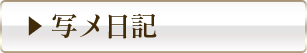 写メ日記