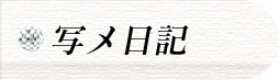 写メ日記