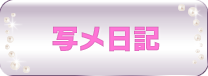写メ日記