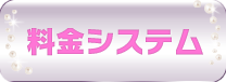 料金システム