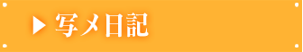 写メ日記