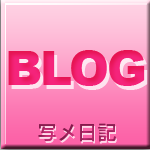 写メ日記