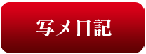写メ日記