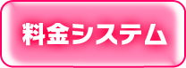 料金システム
