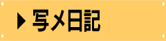 写メ日記
