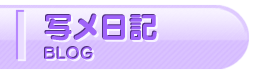 写メ日記