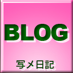 写メ日記
