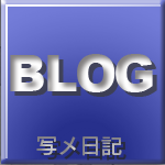 写メ日記