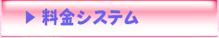 料金システム
