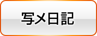 写メ日記