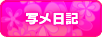 写メ日記