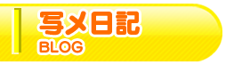 写メ日記