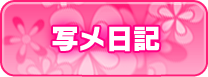 写メ日記