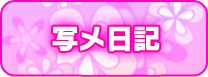 写メ日記