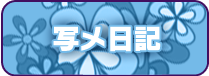 写メ日記