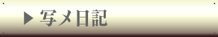写メ日記