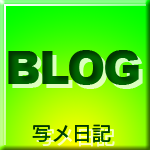 写メ日記