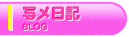 写メ日記