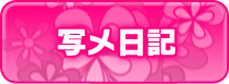 写メ日記