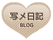 写メ日記