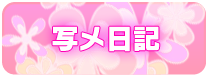 写メ日記