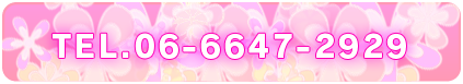 06-6647-2929