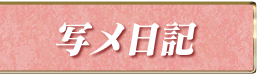 写メ日記